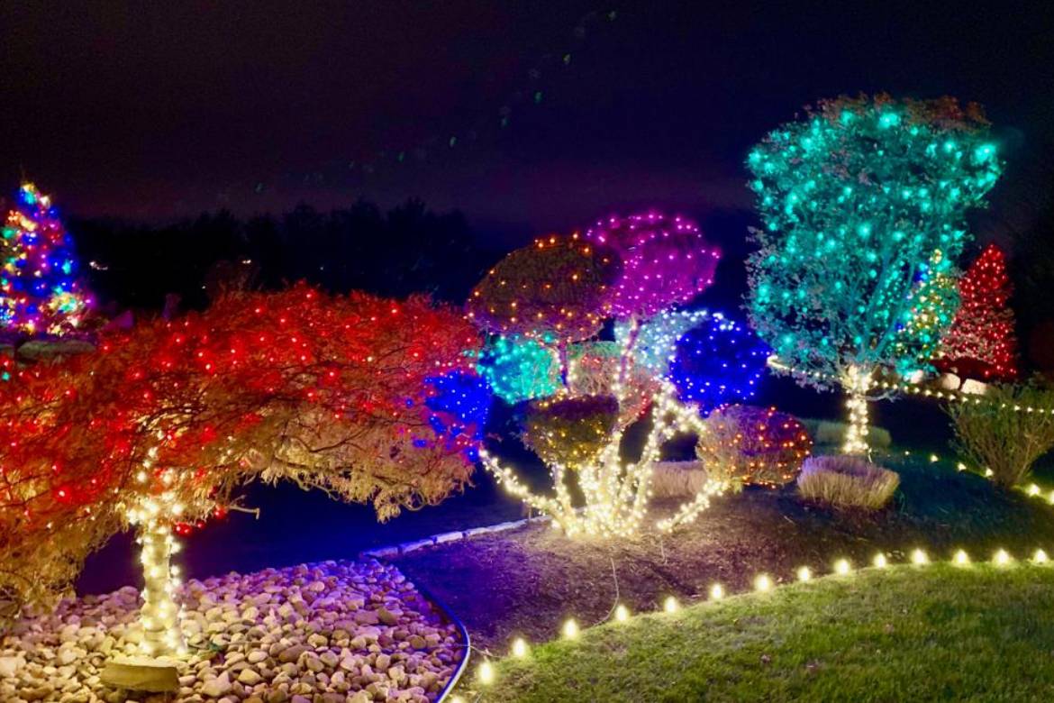 Hire Professional Outdoor Christmas Lighting & Decorations Service ...