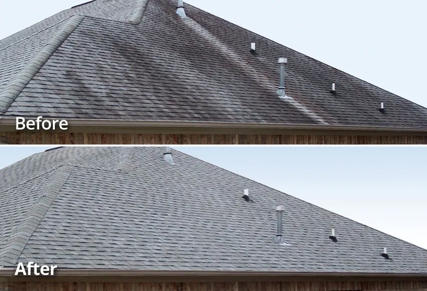 Softwash Roof cleaning